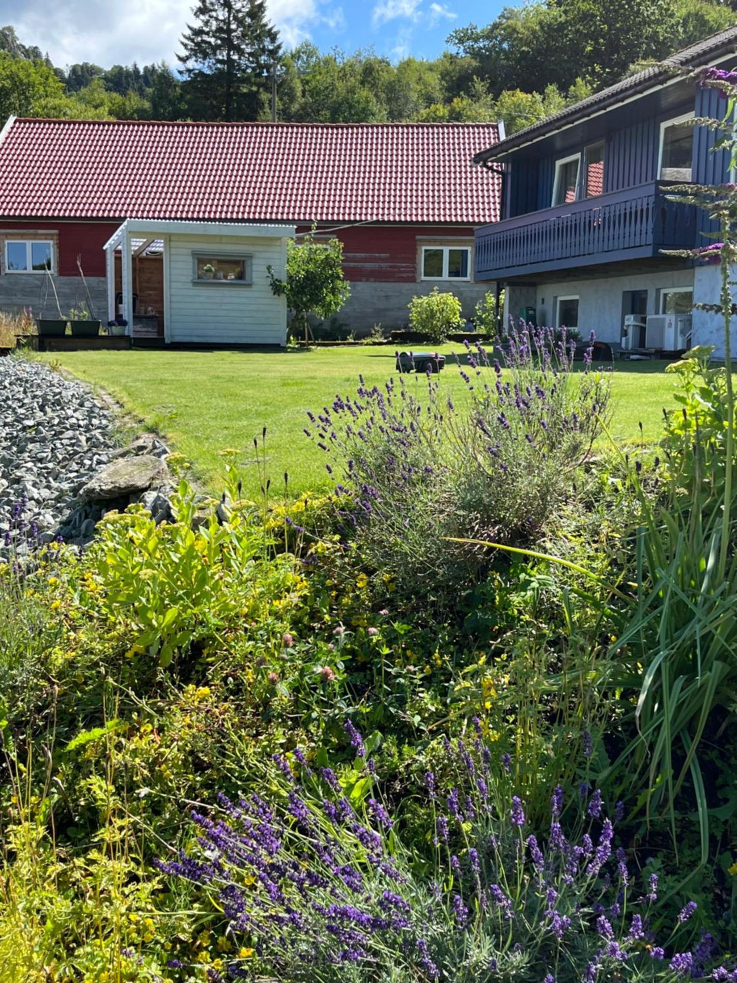 Appartement Kjolevik à Jørpeland Extérieur photo